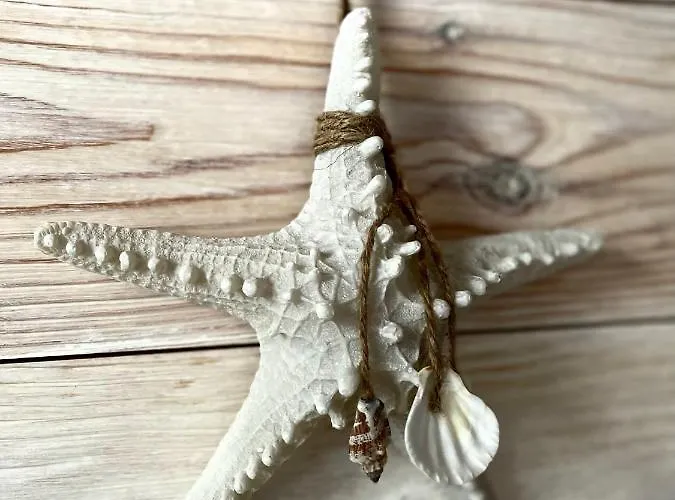 Harbour View Apartment